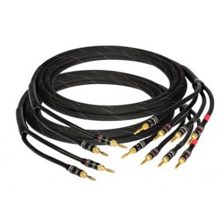 Goldkabel edition ORCHESTRA Bi-Wire 2x3,0м